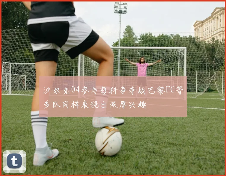 沙尔克04参与哲科争夺战巴黎FC等多队同样表现出浓厚兴趣