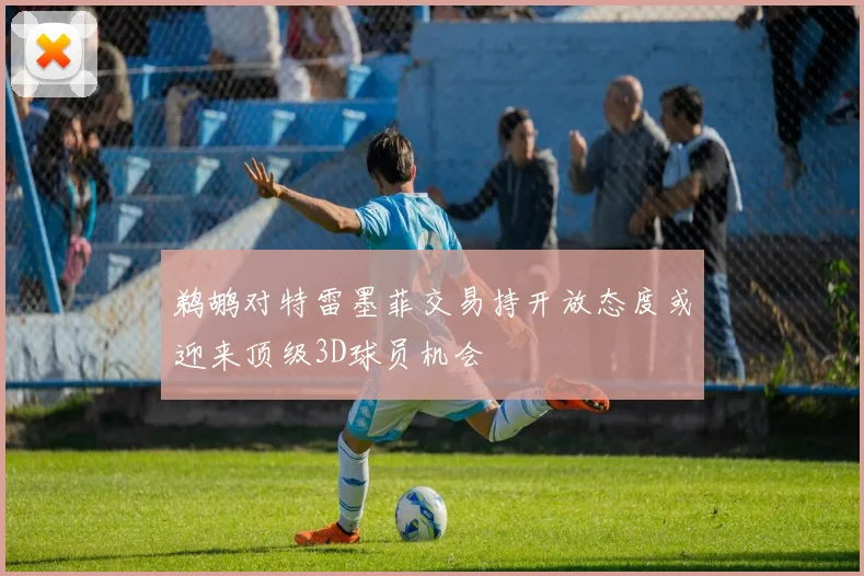 鹈鹕对特雷墨菲交易持开放态度或迎来顶级3D球员机会