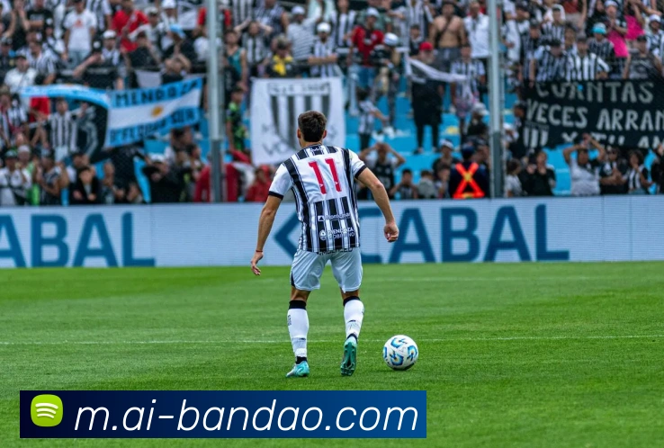未来规划